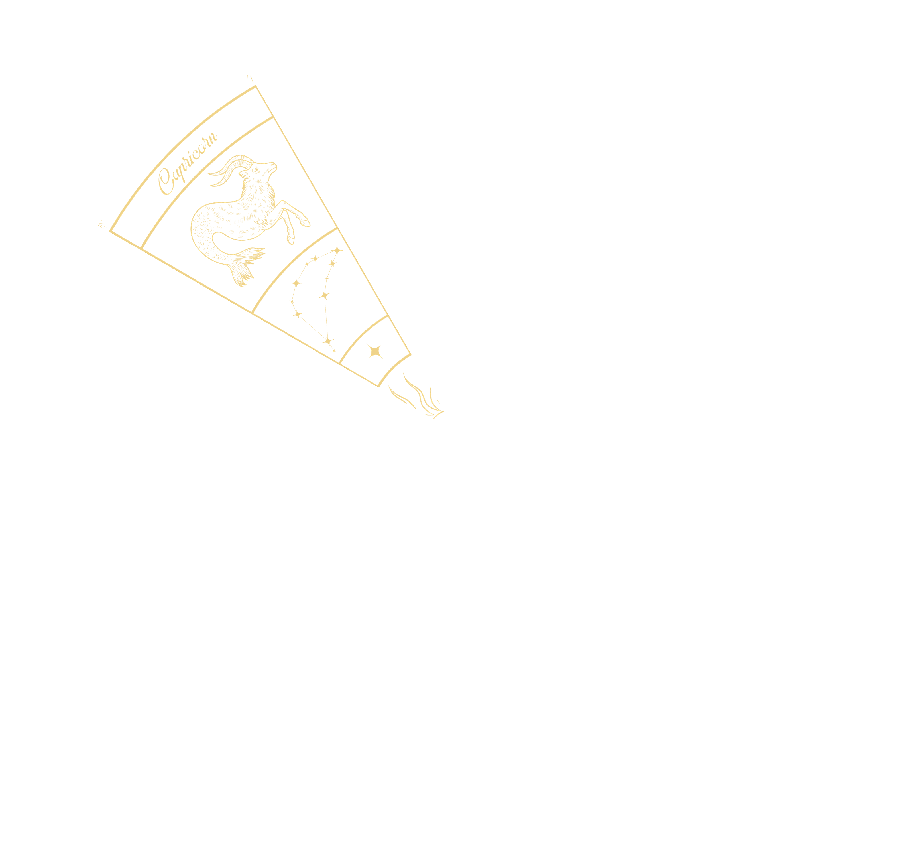 Capricorn highlighted on the zodiac wheel
